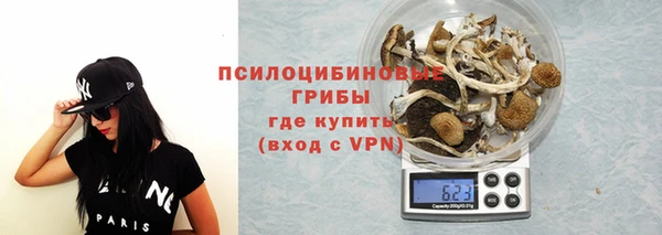стафф Алзамай