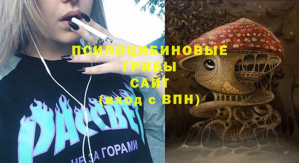 стафф Алзамай