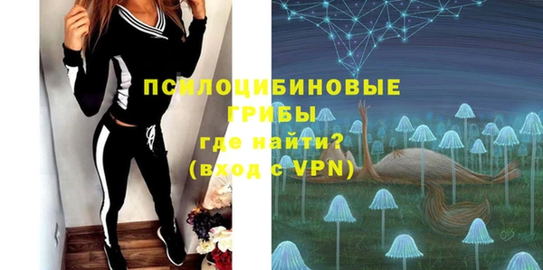 МДПВ Алексин