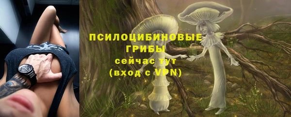 стафф Алзамай